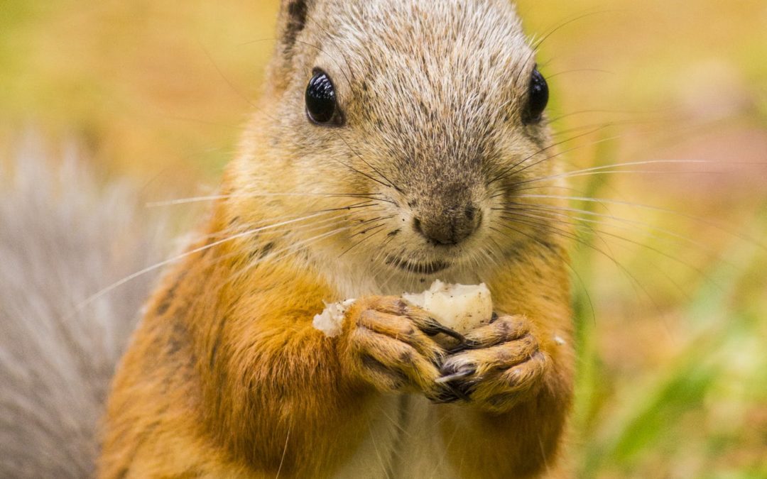 Intuitive eating is not easy
